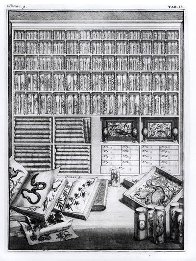 Table 4 from Elenchus Tabularum by Levin Vincent, 1719 by English School